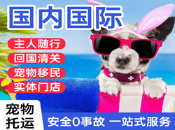 六盘水月照航空邮寄国际宠物托运 【国